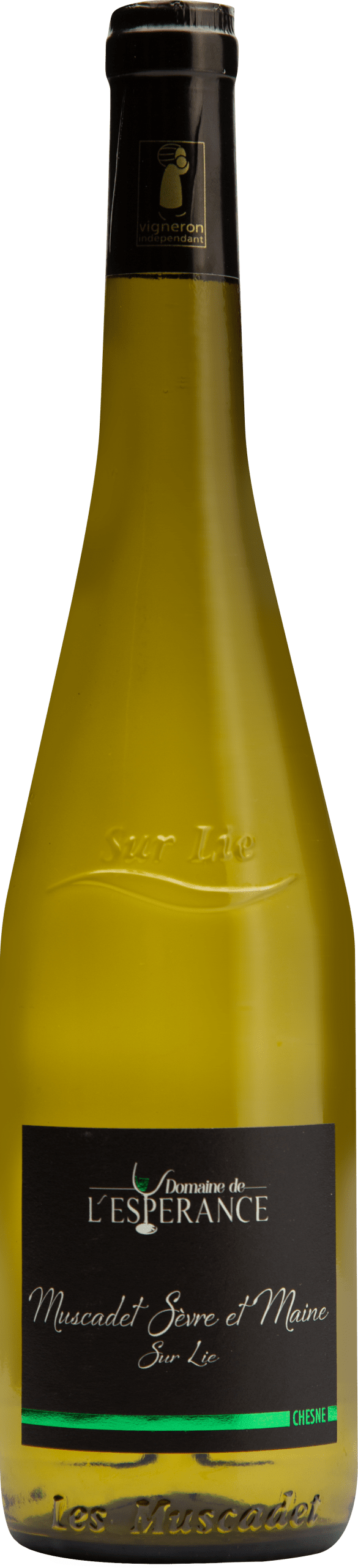 Muscadet Sèvre & Maine Sur Lie AOP